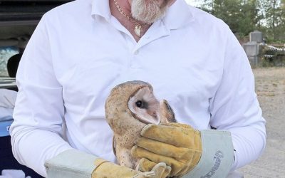 The Amazing Work of the Mountainaire Avian Rescue Society