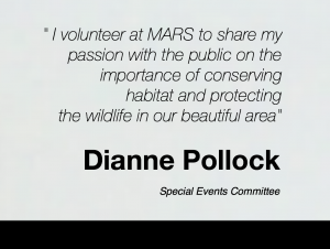 Dianne P on Volunteering Info