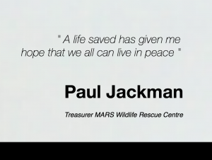 Paul J on Saving Wildlife Info