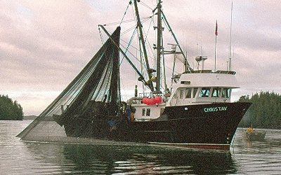 Herring Test Fishery Nets Haul for MARS